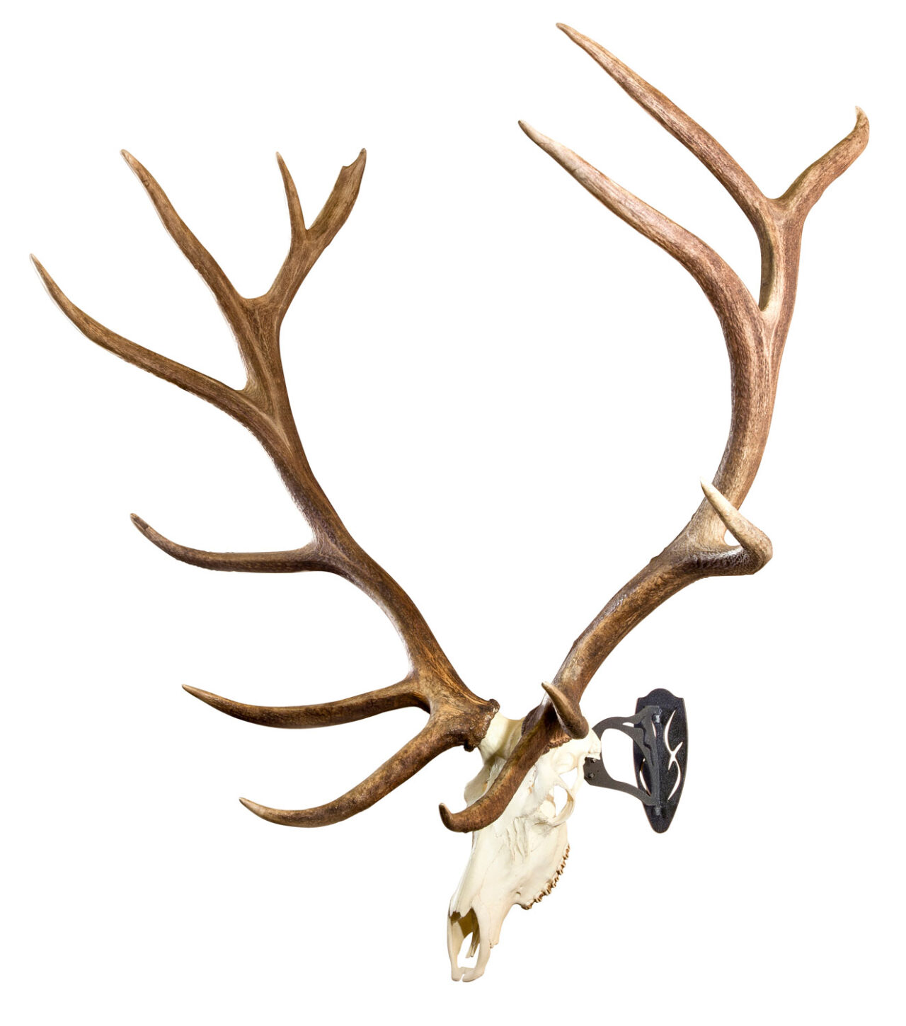 Skullhooker SKHBHASSYBLK Big Hooker Large/XL European Game Steel Graphite Black - Image 2