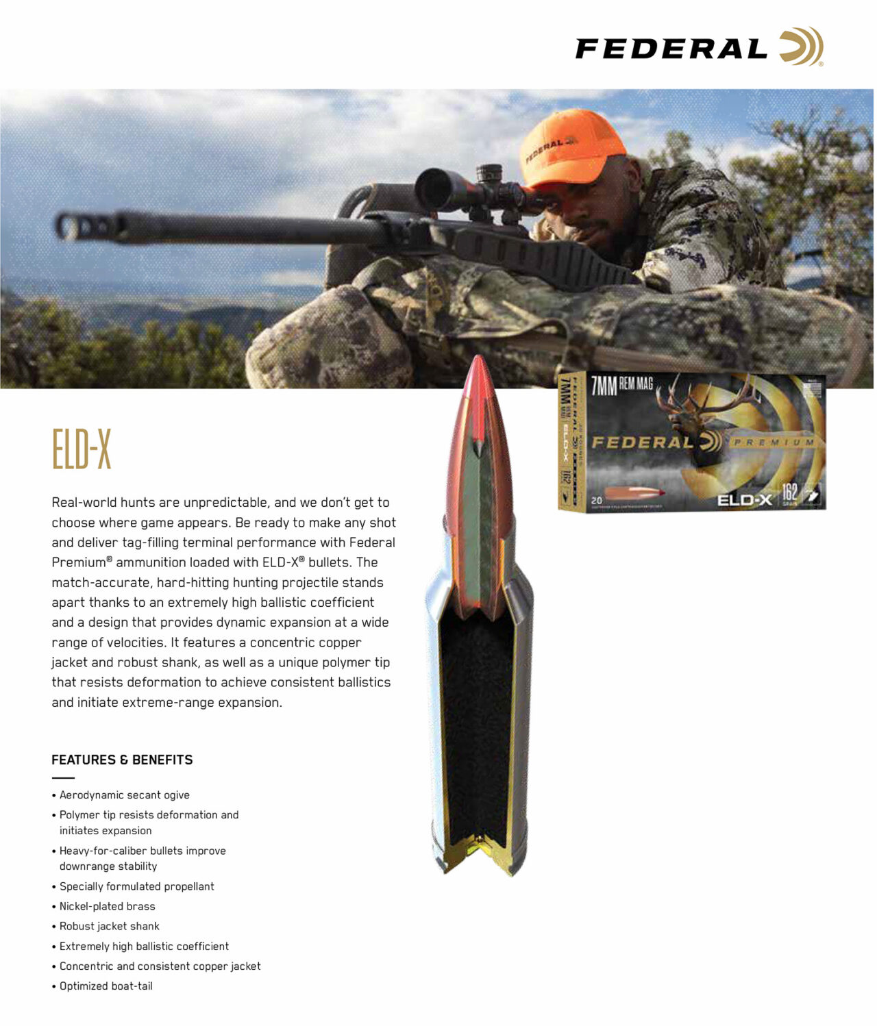 Federal P243ELDX1 Premium ELD-X 243 Win 90 gr Extremely Low Drag-expanding (ELD-X) 20 Per Box/ 10 Cs - Image 3