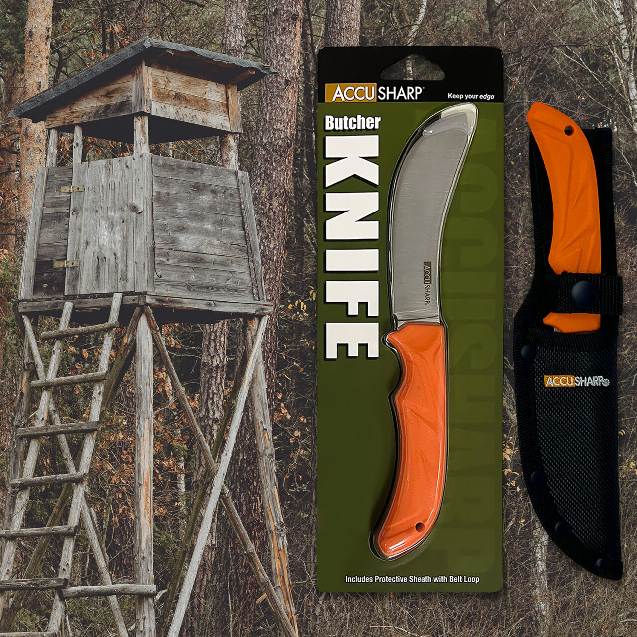 AccuSharp 732C Butcher 4" Fixed Butcher Plain Stainless Steel Blade/Blaze Orange Ergonomic Anti-Slip Rubber Handle - Image 3