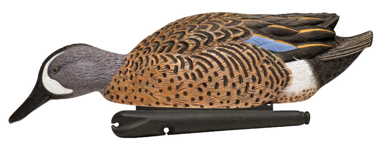 Avian X AVX-AVX8080 Topflight Teal Species Multi-Color - Image 3