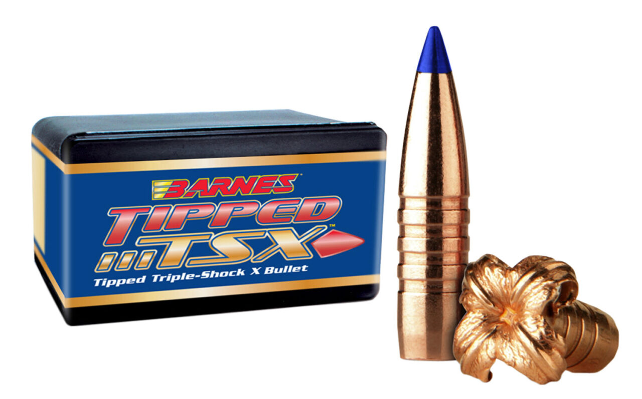 Barnes Bullets 30176 TSX 22 Cal .224 45 gr TSX Flat Base