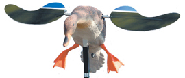 Mojo Mallard Baby Drake Decoy 6V